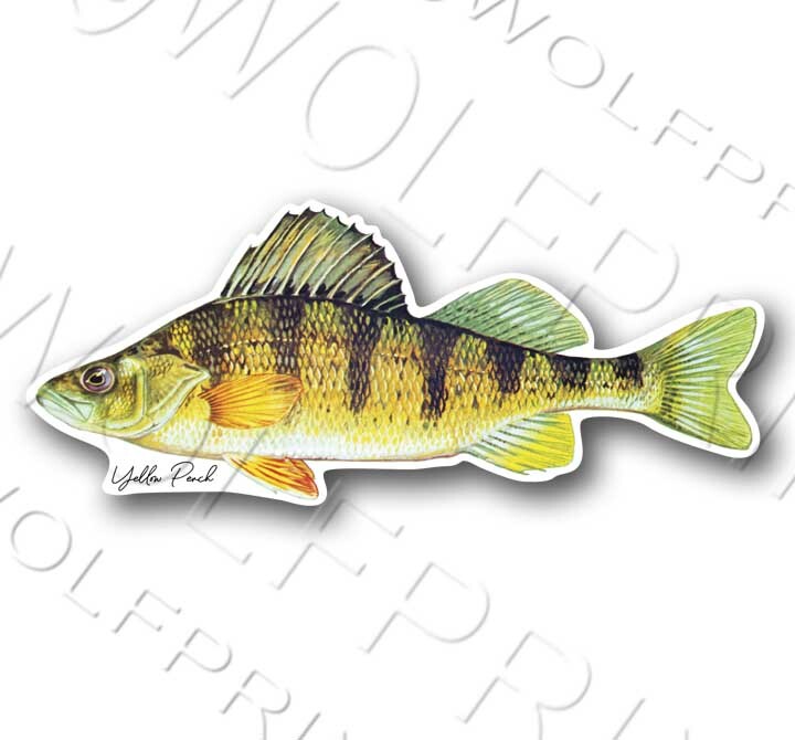 Northern Pike Fish Sticker 6" or 11" Wide Walleye Bass Boat Car Window Decal