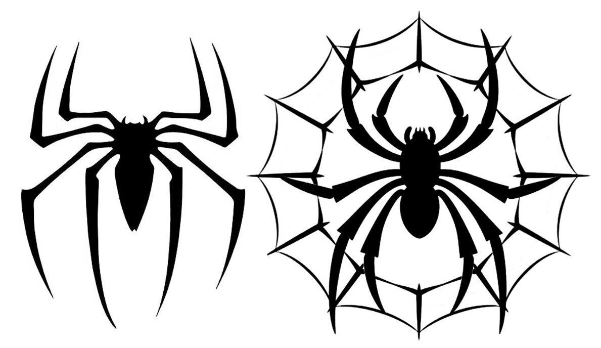 2 Spider Web Graphic Vinyl Decal Car Truck Window Tumbler Laptop Tablet Notebook