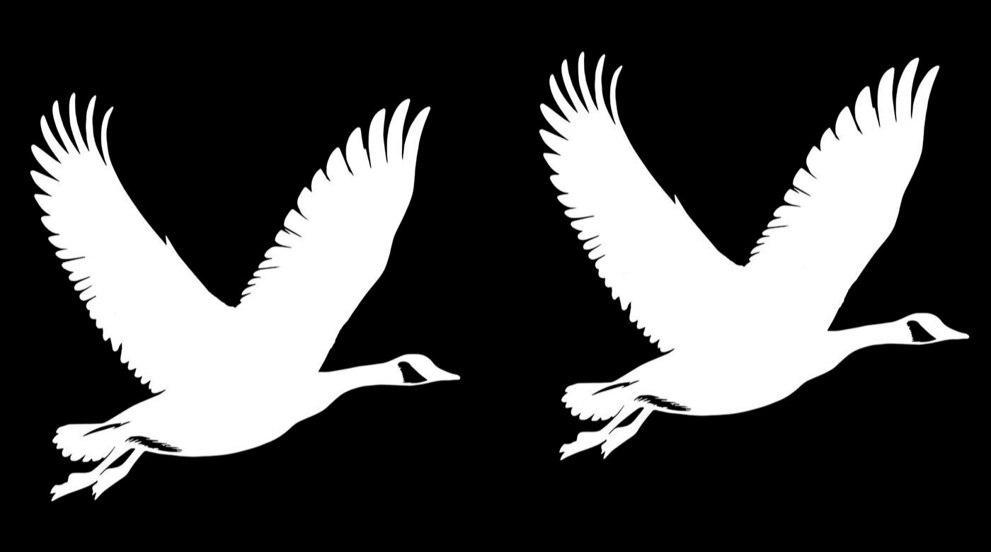 Canada Geese 2 PK 5" White Vinyl Decal Car Truck Laptop Tablet Mailbox