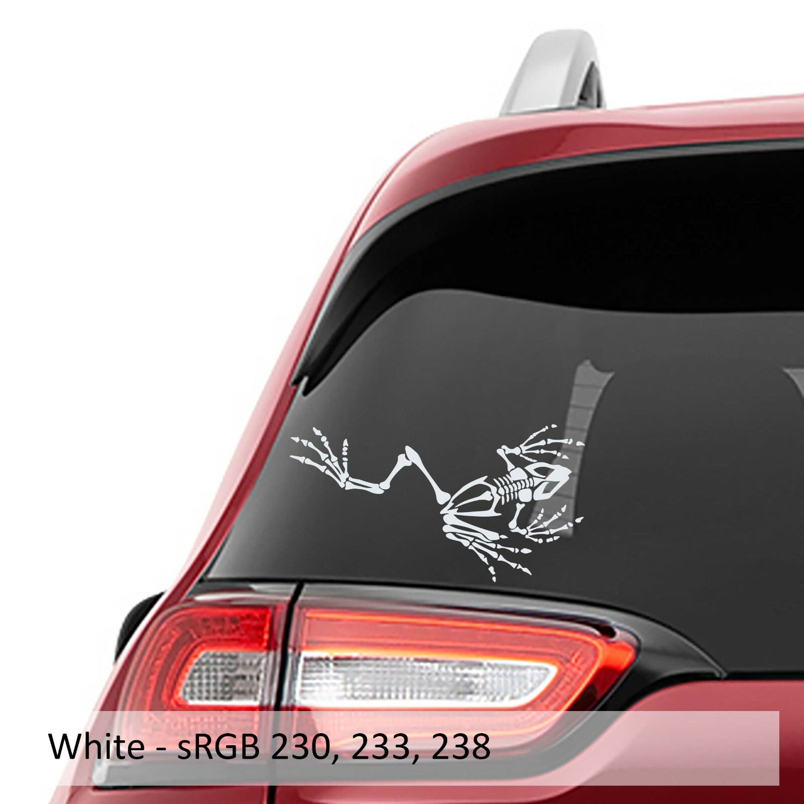 Bone Frog Skeleton Vinyl Decal