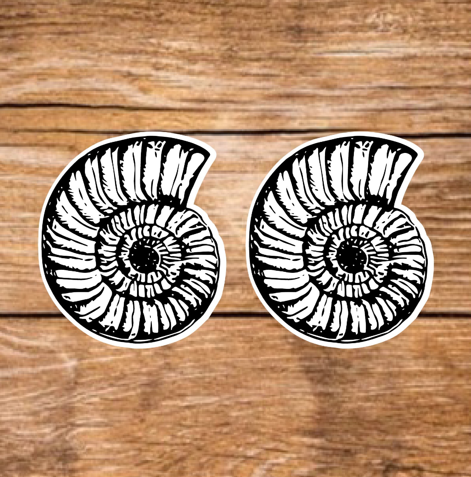 Seashell – Spiral (2 Stickers) 3.5in, Waterproof, Glossy Finish Vinyl.