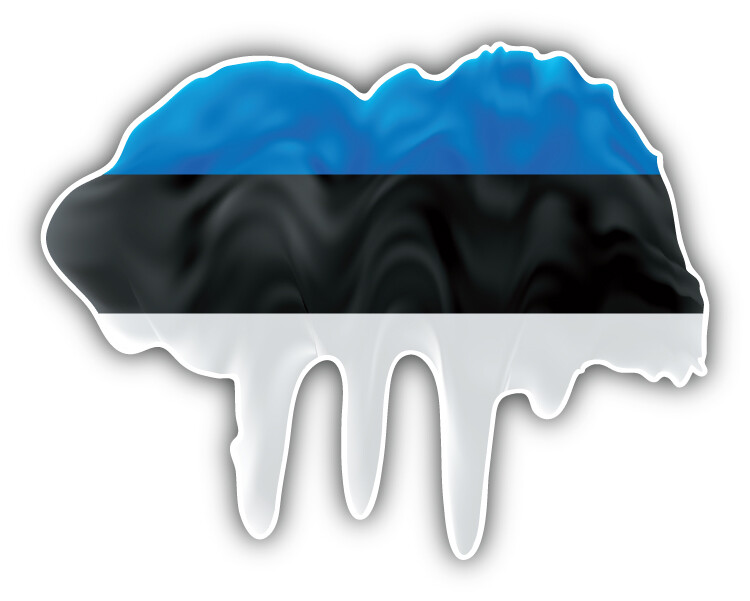 Estonia Flag Blot Car Bumper Sticker Decal