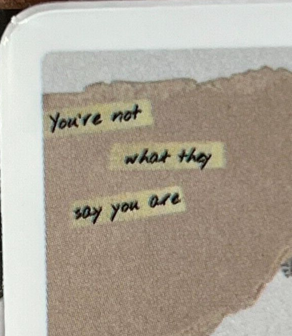 You Are Not What They Say – Vinyl Decal Sticker Bomb Laptop Tumbler Sarcasm
