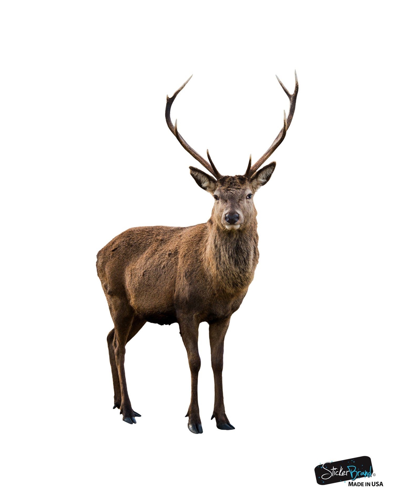 Wildlife Nature Deer Wall Decal Sticker. Posing and Staring. Large Horn Buck wit