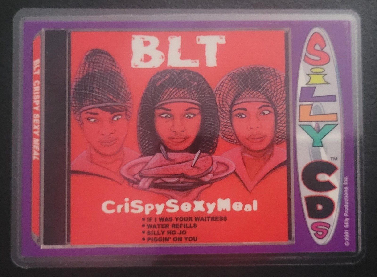 2001 Silly CD's Fridge/Locker/Cabinet Laminated Magnets Great funny GIFT Idea!