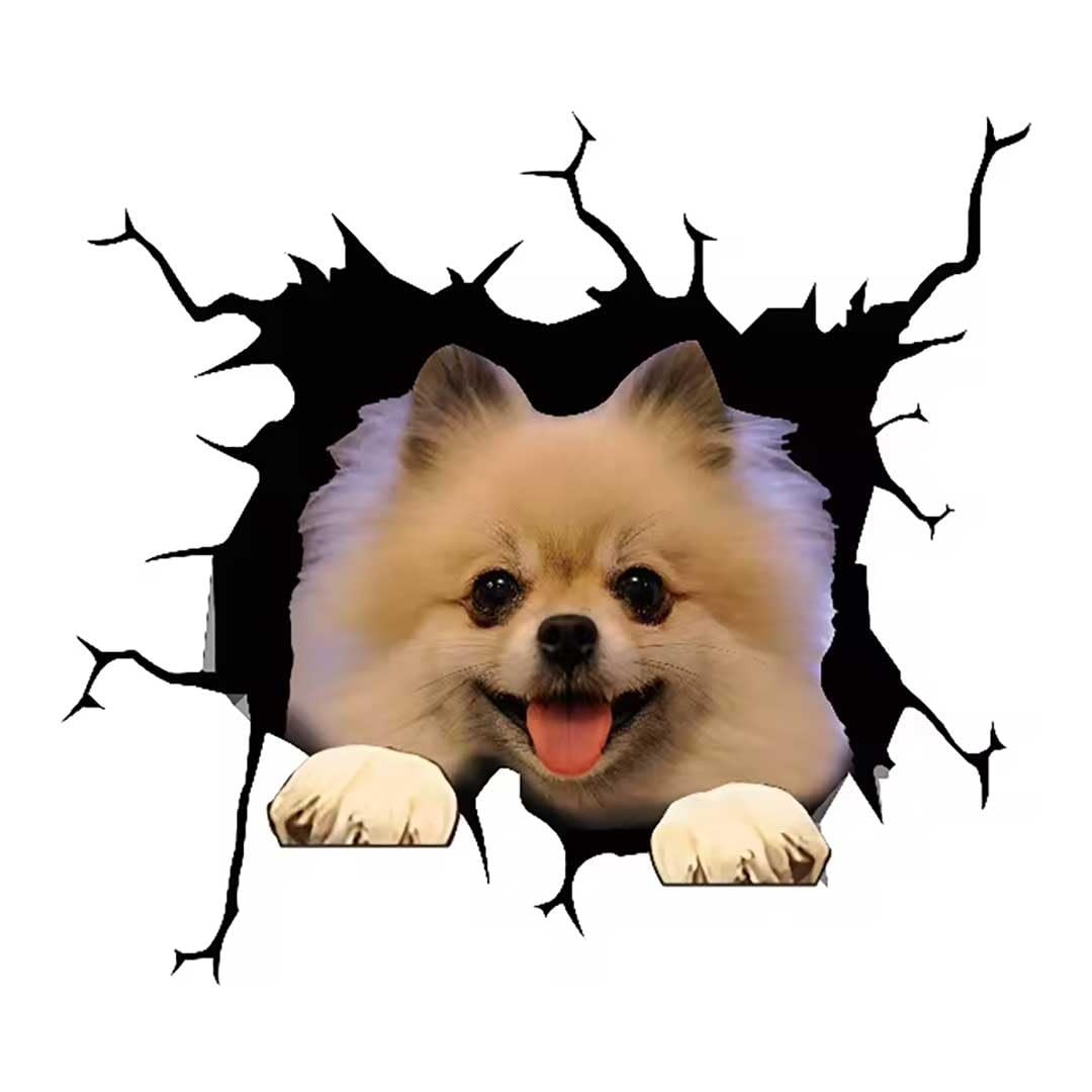 3D Pop Up Dog Car Sticker Pomeranian Design