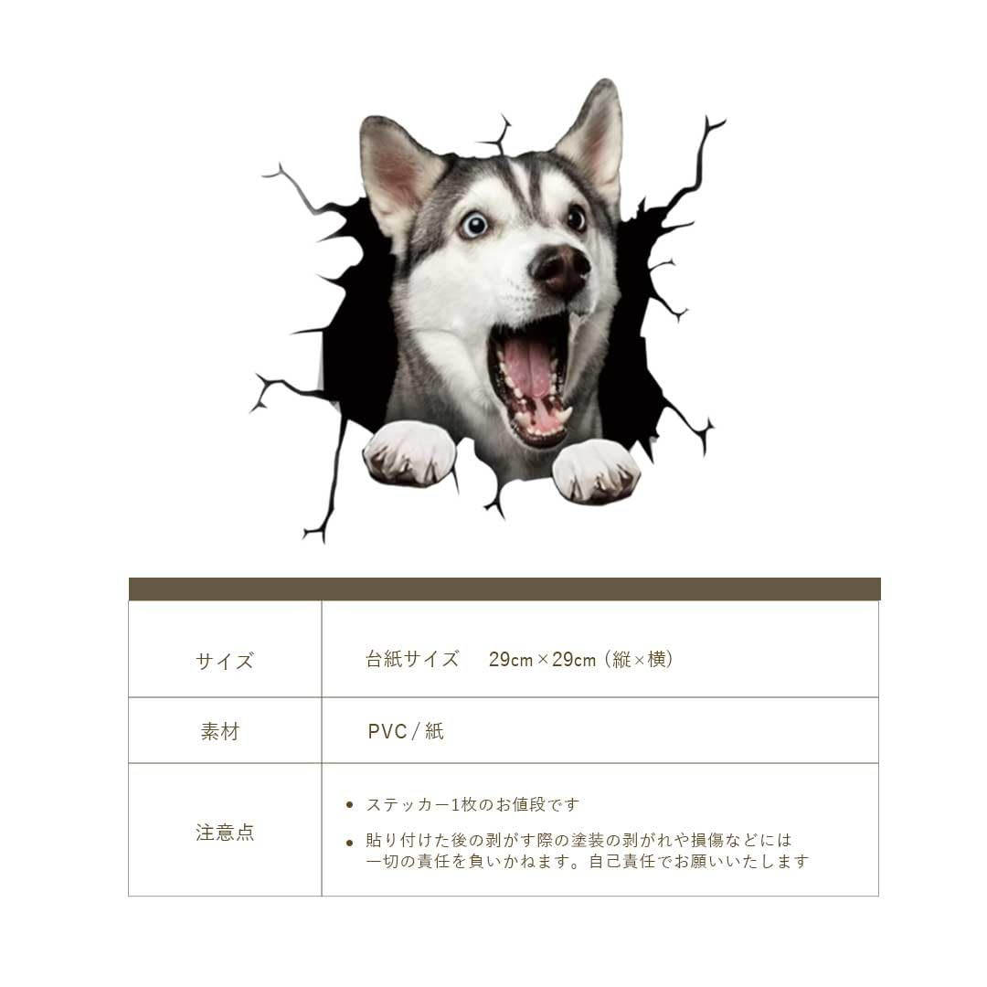 3D Pop Up Dog Car Sticker Pomeranian Design
