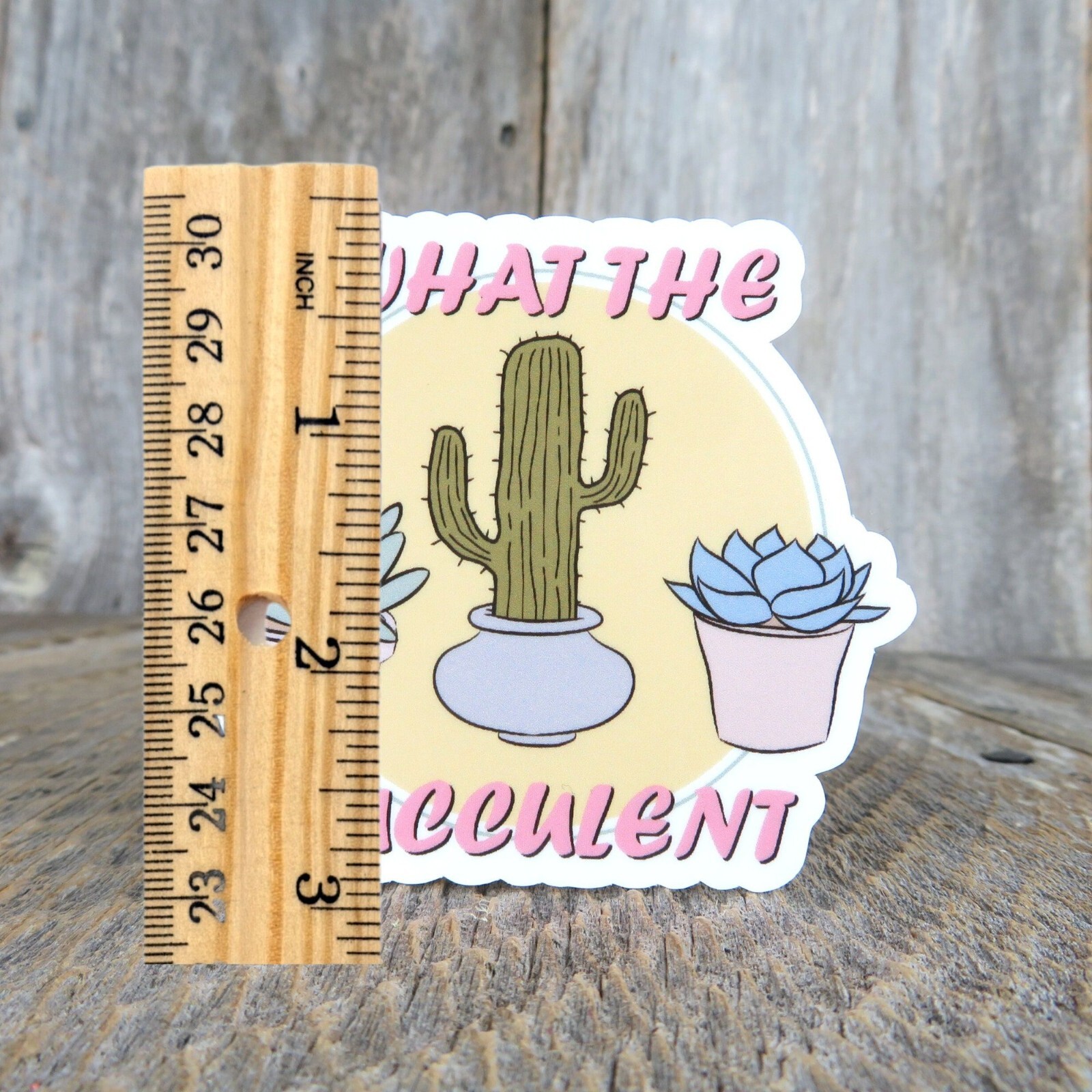 What the Fucculent Sticker Succulent Plant Addict Funny Swear Word Cactus