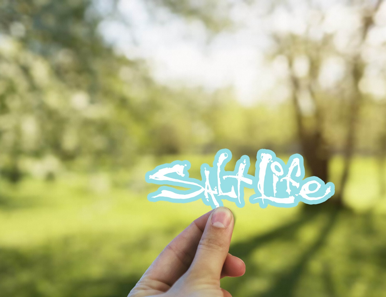 Salt Life Signature Decal Sticker Weather Resistant Salt Life Sticker 2 Pack