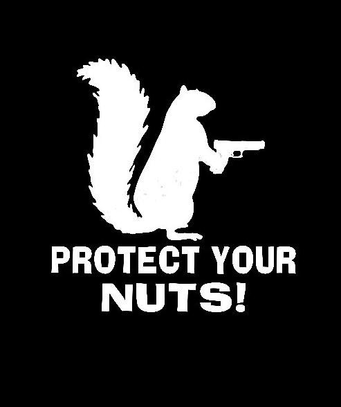Funny Squirrel Protect Your Nuts Vinyl Decal