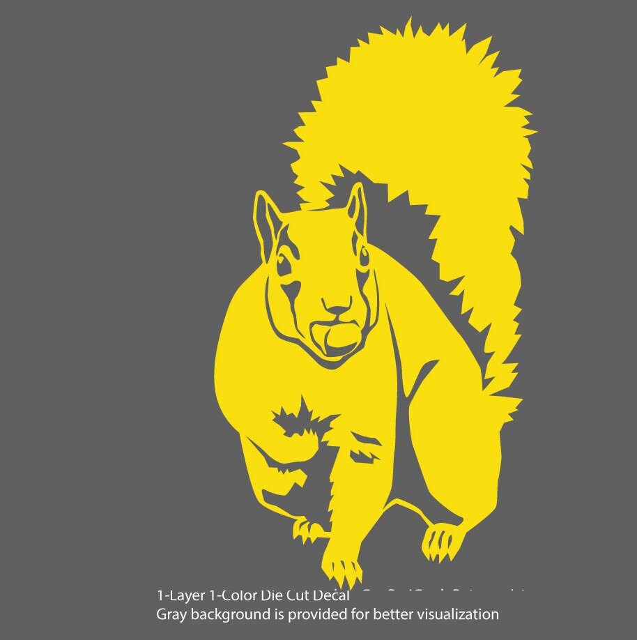 Animals – Wild Life – Tree Squirrel 1 Laptop, Car, Bumper, Door Decal Sticker