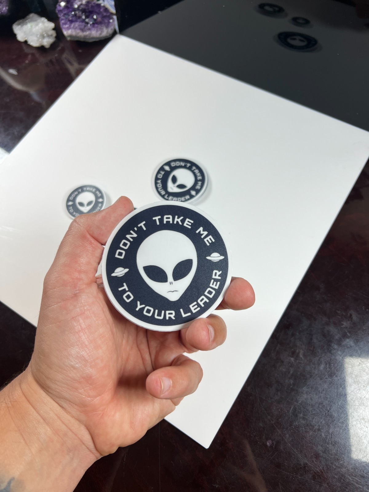 Alien Stickers "Don't Take Me To Your Leader" Meme Waterproof NEW 1/10/50/100