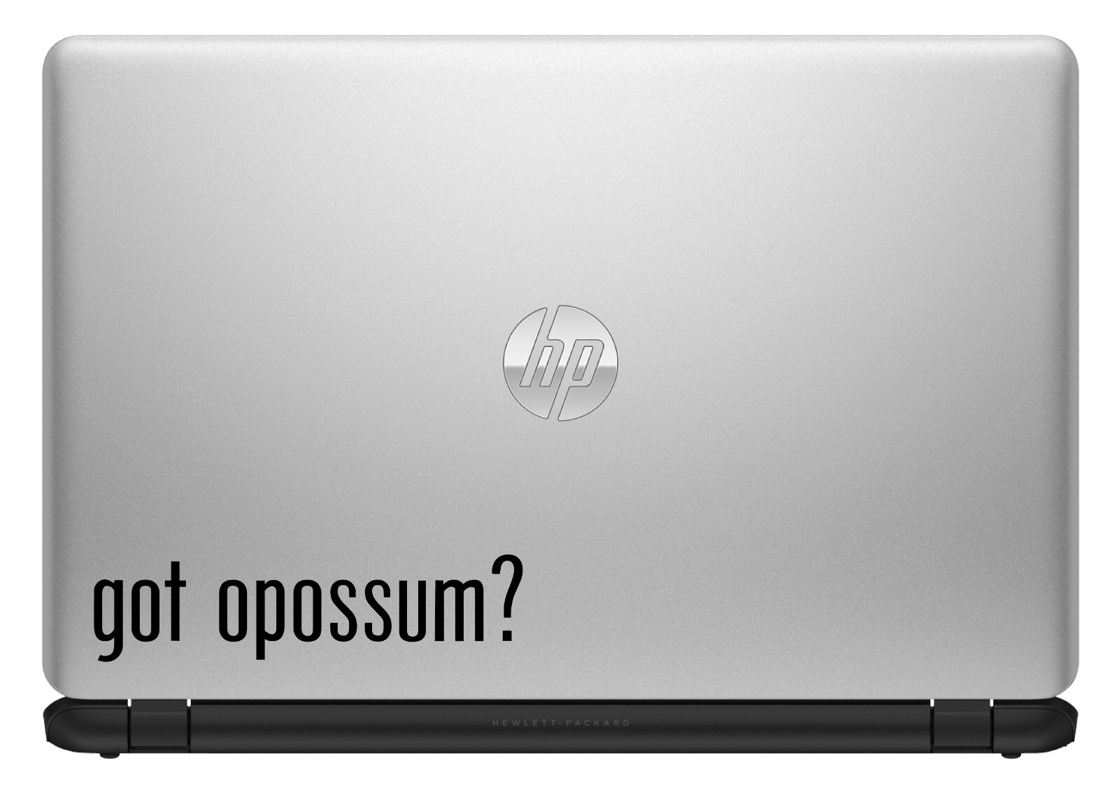 Got Opossum? Custom Vinyl Sticker / Decal Possum, Wildlife, Animals, Marsupial