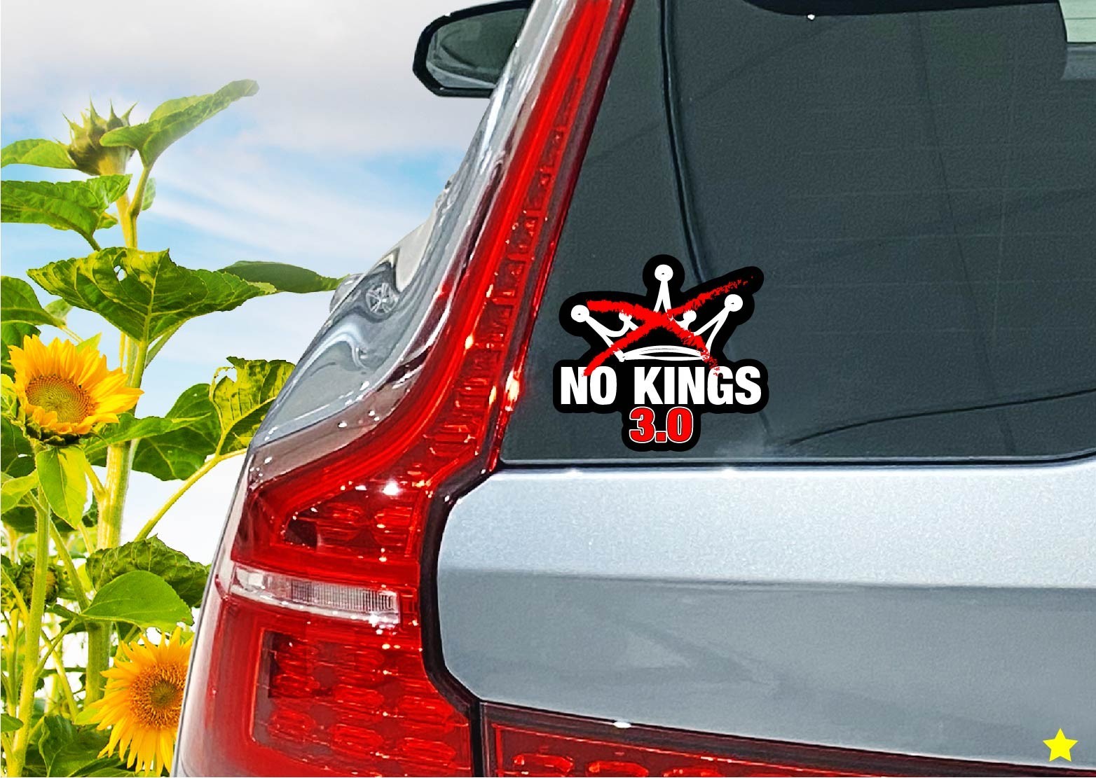 No Kings 3.0 Decal Sticker Protest Anti MAGA Trump Ice 47 King Peaceful Crown US