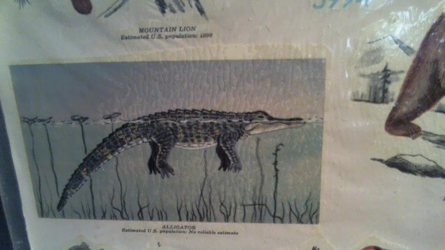 VINTAGE 1977 SEALED MEYERCORD VINYL DECALS – ENDANGERED WILD AMERICA ANIMALS