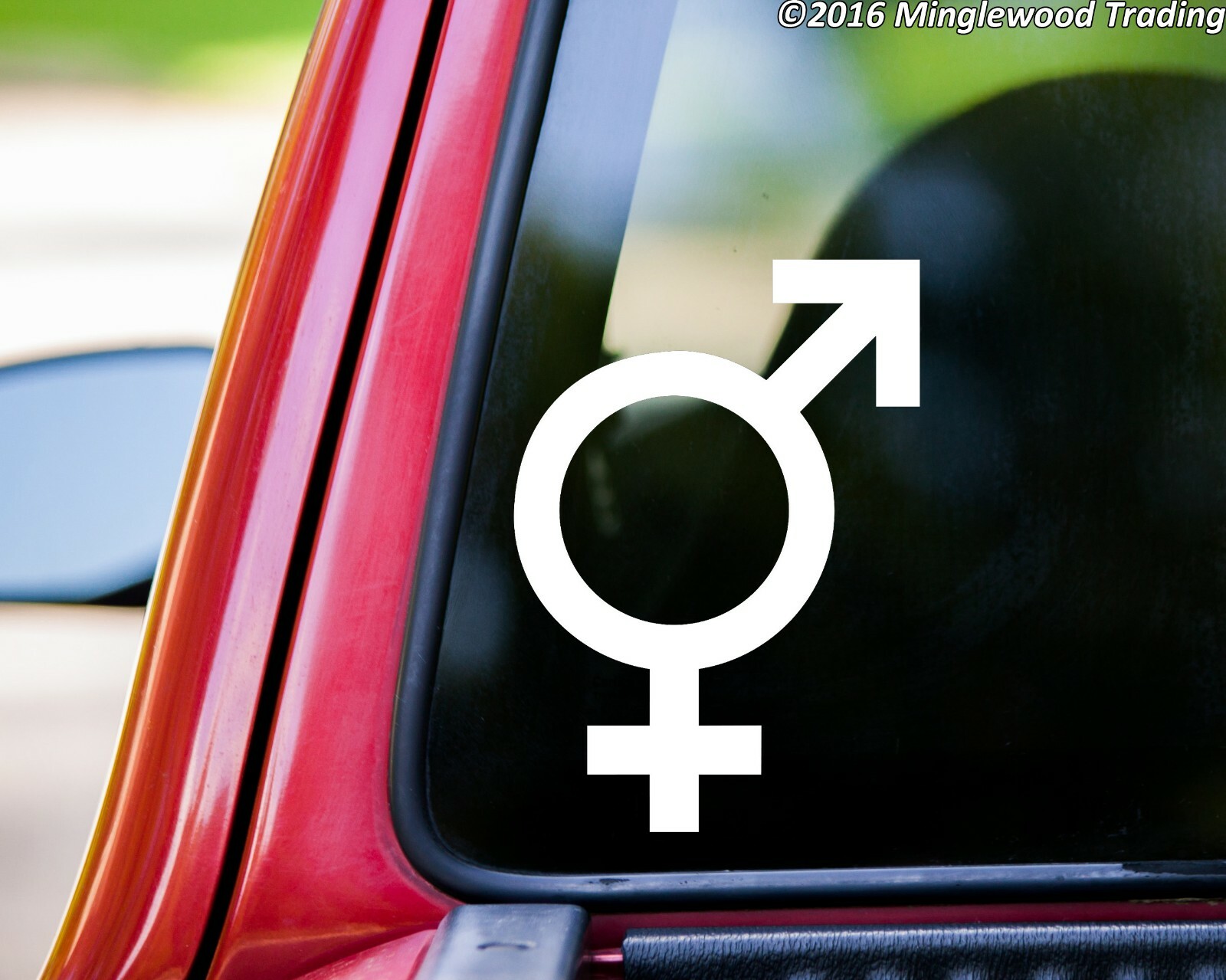 INTERSEX GENDER SYMBOL Vinyl Sticker Sign Hermaphrodite Androgyny Die Cut Decal