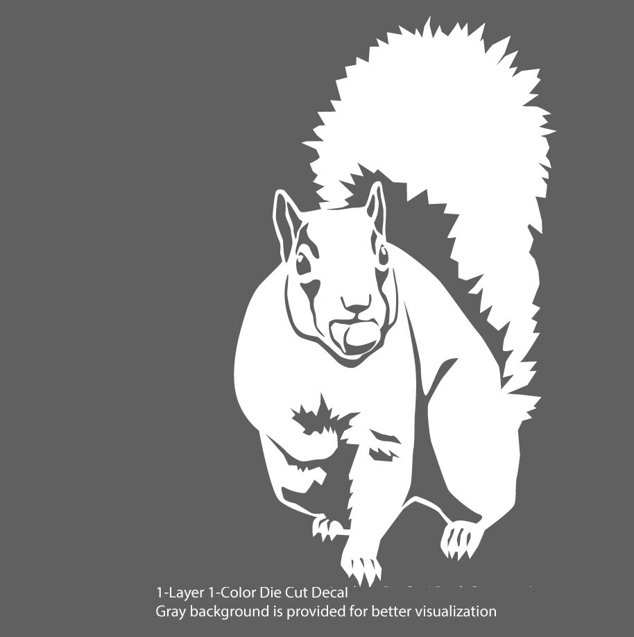 Animals – Wild Life – Tree Squirrel 1 Laptop, Car, Bumper, Door Decal Sticker