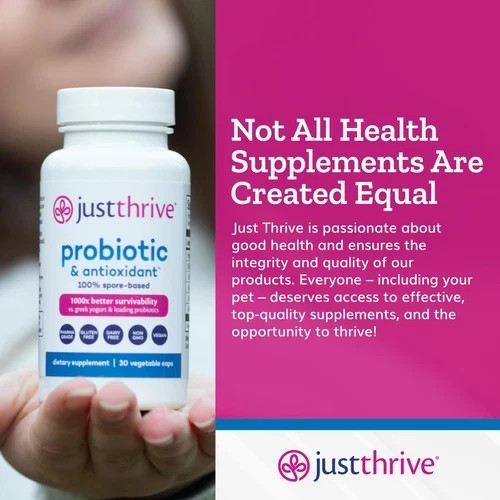 Probiotic & Antioxidant Supplement – 100% Spore-Based Digestive and