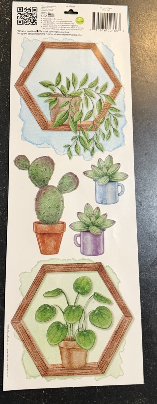 Hexagon Plants Cactus Peel & Stick Jumbo Wall Stickers