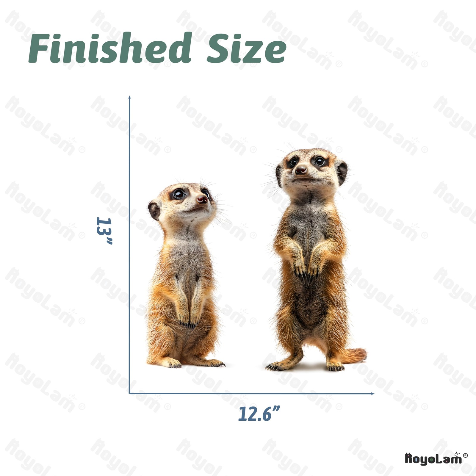 Meerkat Wall Decals Removable African Animal Vinyl Stickers for Nursery Livin…