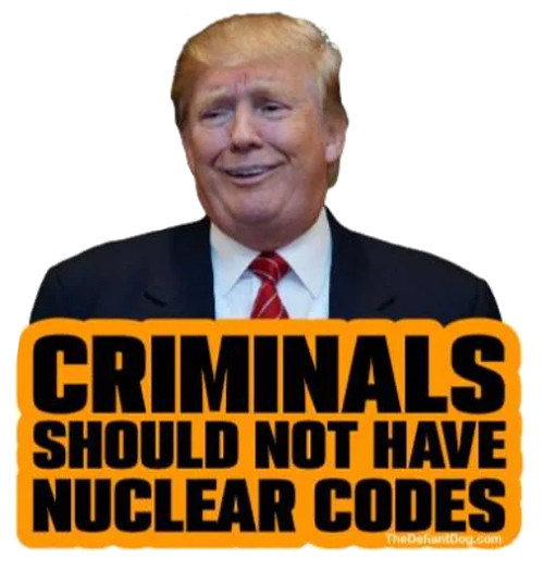 10pc Assorted Anti Trump Vinyl Stickers Kiss Cut Waterproof, approx. 1.5"Wx1.6"H