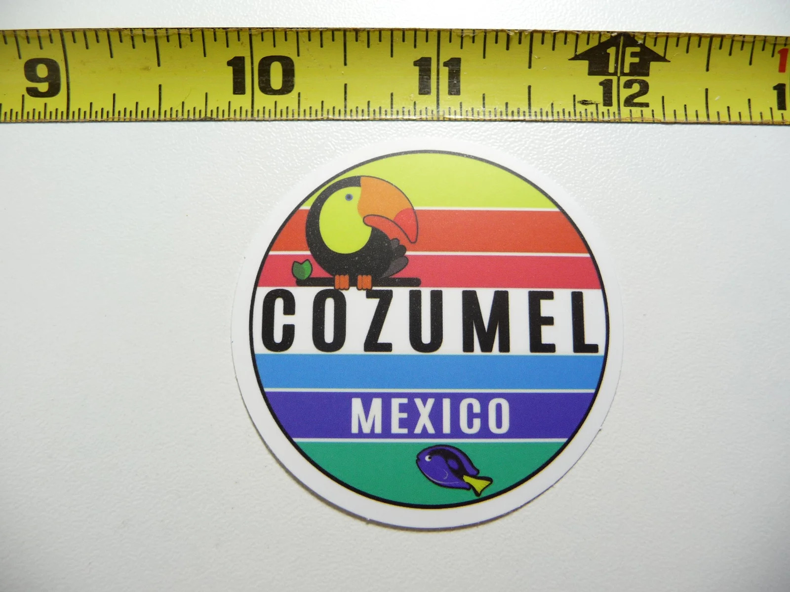TOUCAN COZUMEL MEXICO SMALL STICKER DECAL MINI TINY TRAVEL POSTER TOURISM
