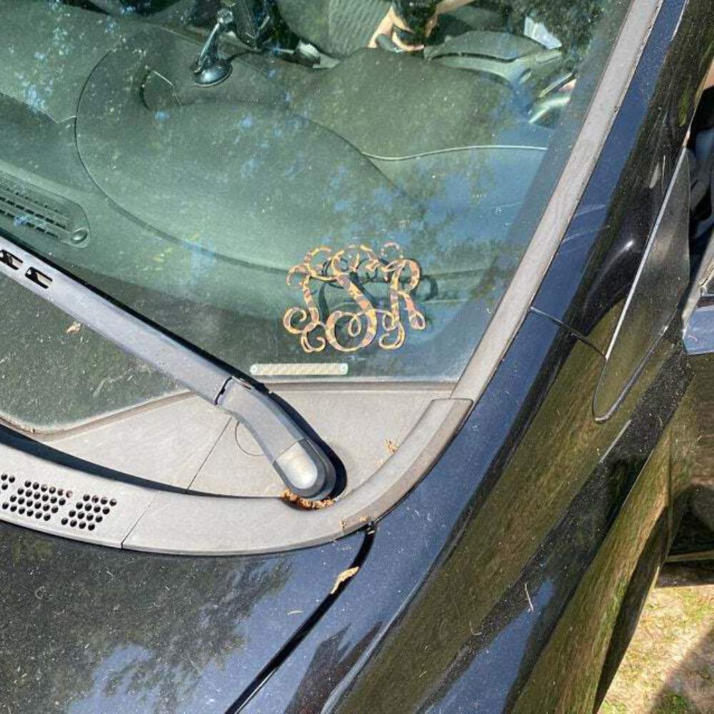 Brown Leopard Monogram Vinyl Decal Sticker | Animal Printed Pattern