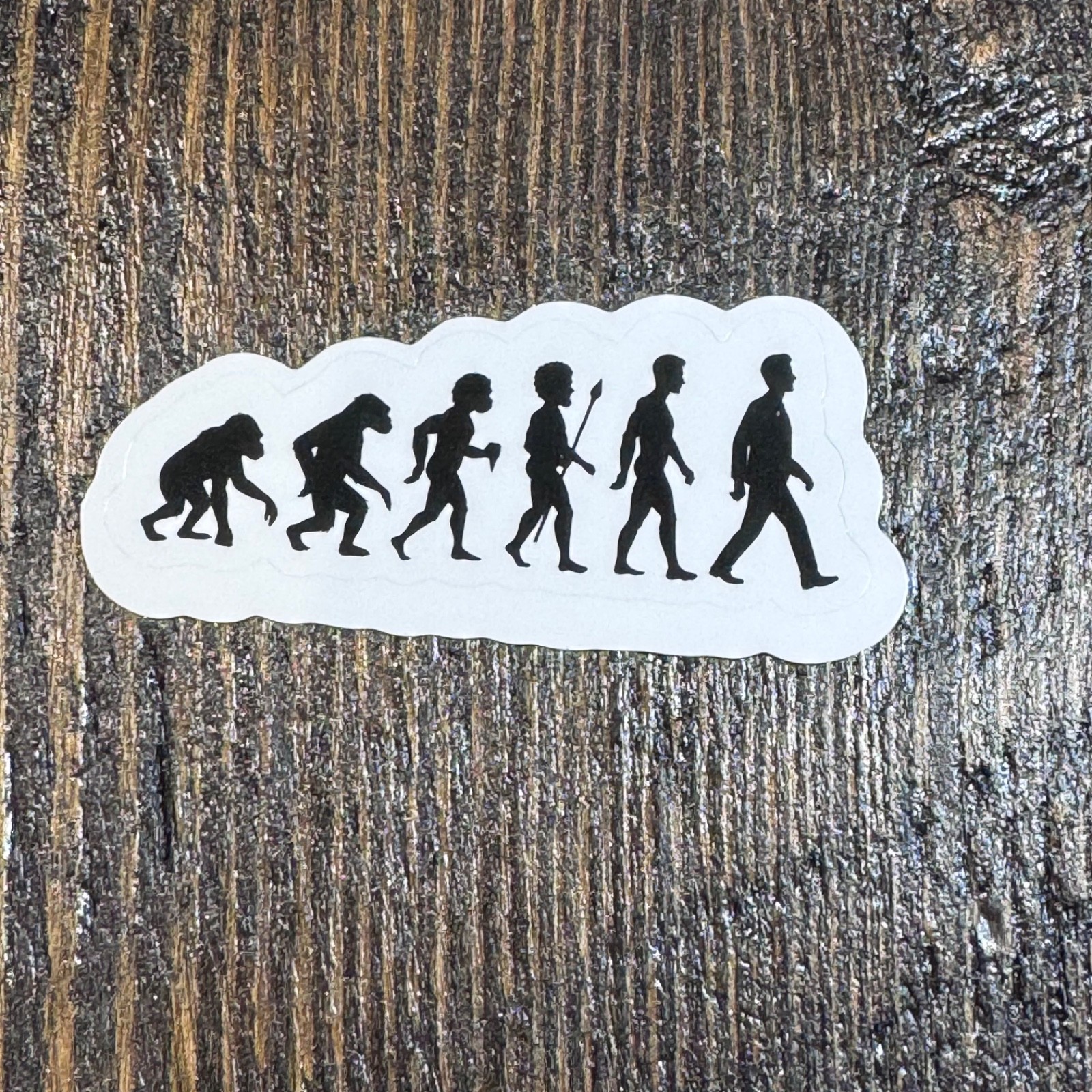 Evolution of Homo sapiens sticker 2” water bottle mug locker hard hat lunch box