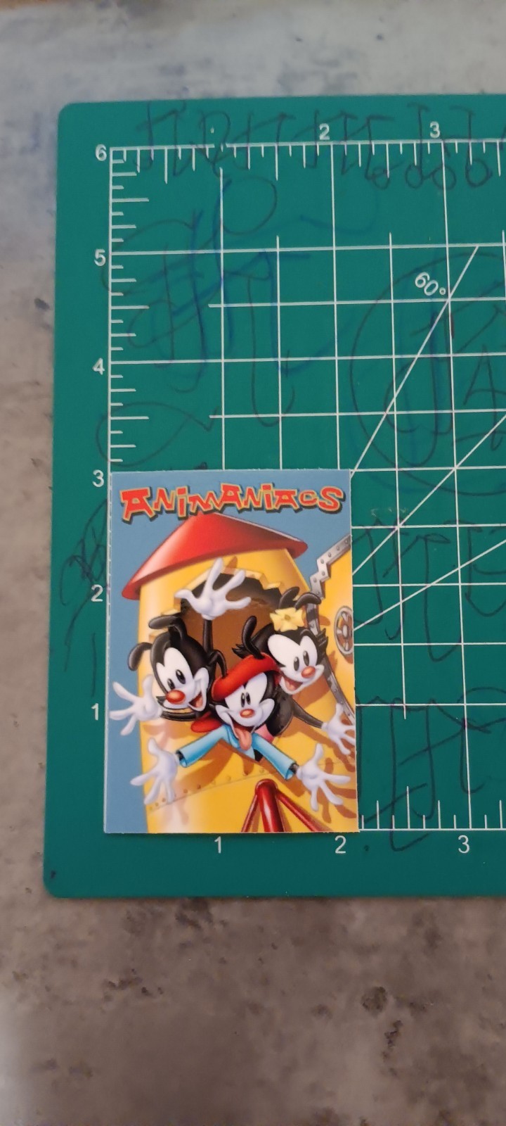 ANIMANIACS VYNIL STICKER 3X2
