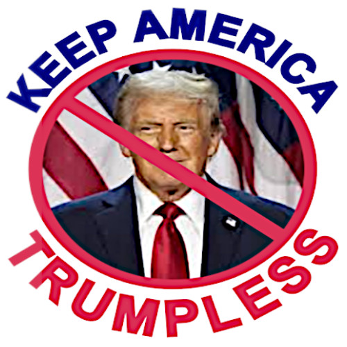 10pc Assorted Anti Trump Vinyl Stickers Kiss Cut Waterproof, approx. 1.5"Wx1.6"H