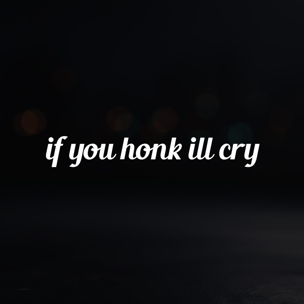 8in Vinyl Decal Sticker – "if you honk ill cry"