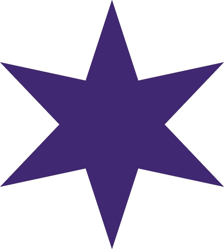 Star Shape 6 Point Vinyl Decal Car Bumper Sticker 6pt Star Wall Art Laptop Label