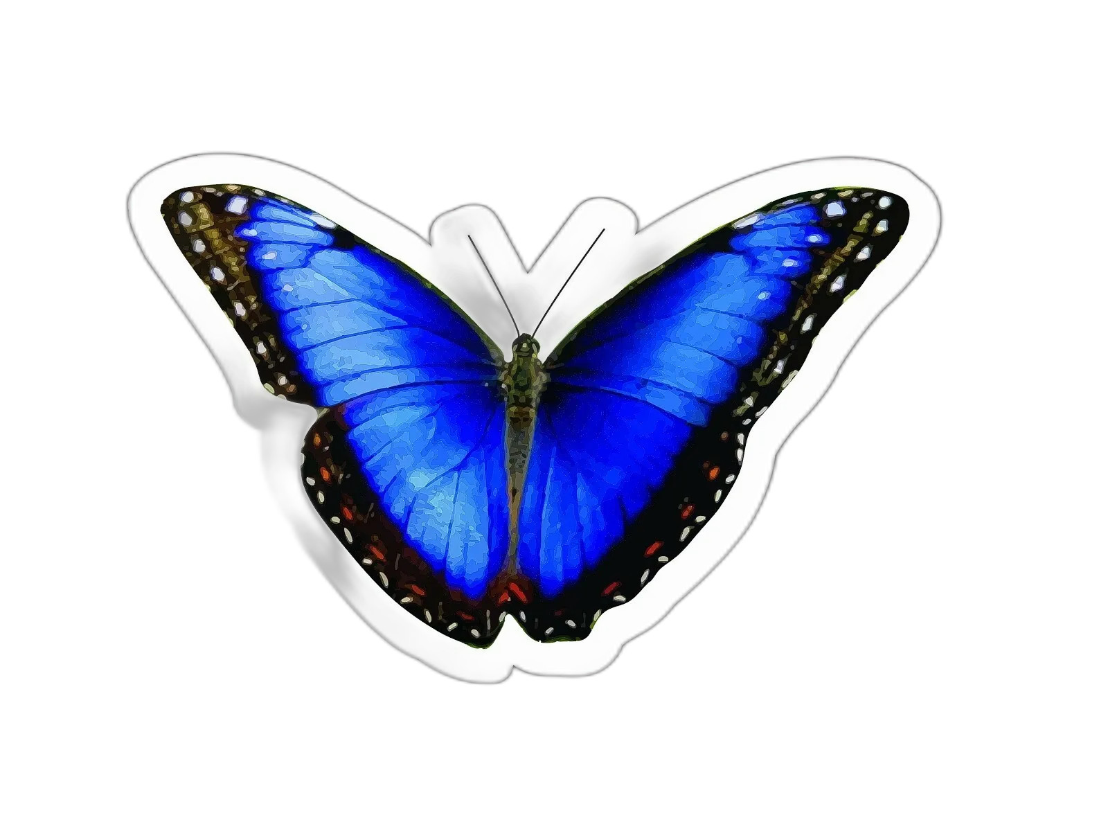 Blue Realistic Butterfly Sticker Decal
