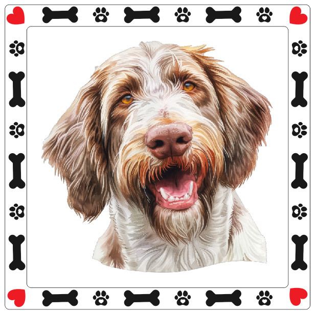 Spinone Italiano Dog Sticker Decal A1126