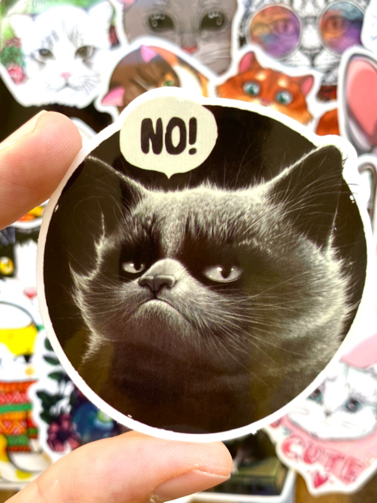 5-50 pcs Cat Meme Stickers, Cat Lover Gifts, Cute Funny Sad Fat Cat Vinyl Decals