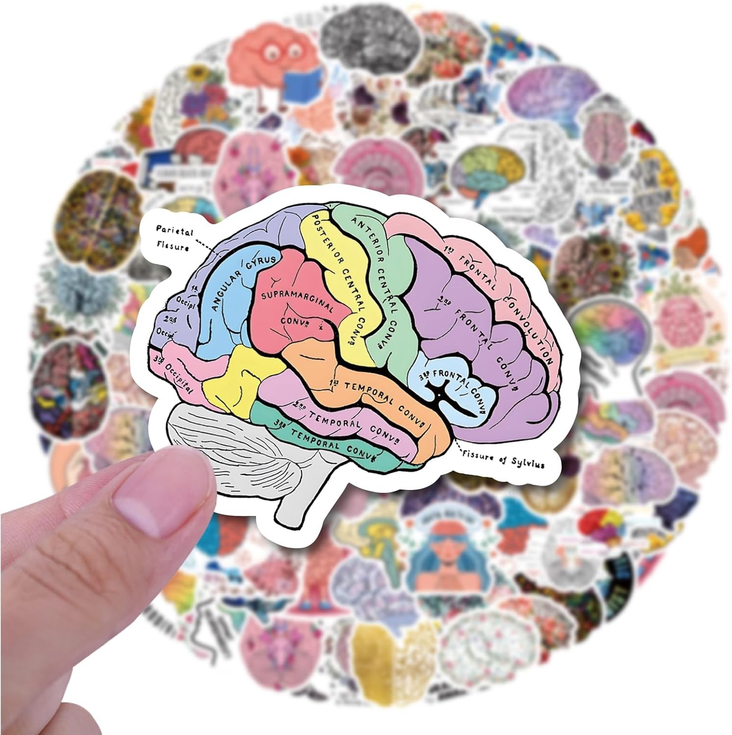 50 Pcs Brain Stickers Pack | Colorful Vinyl