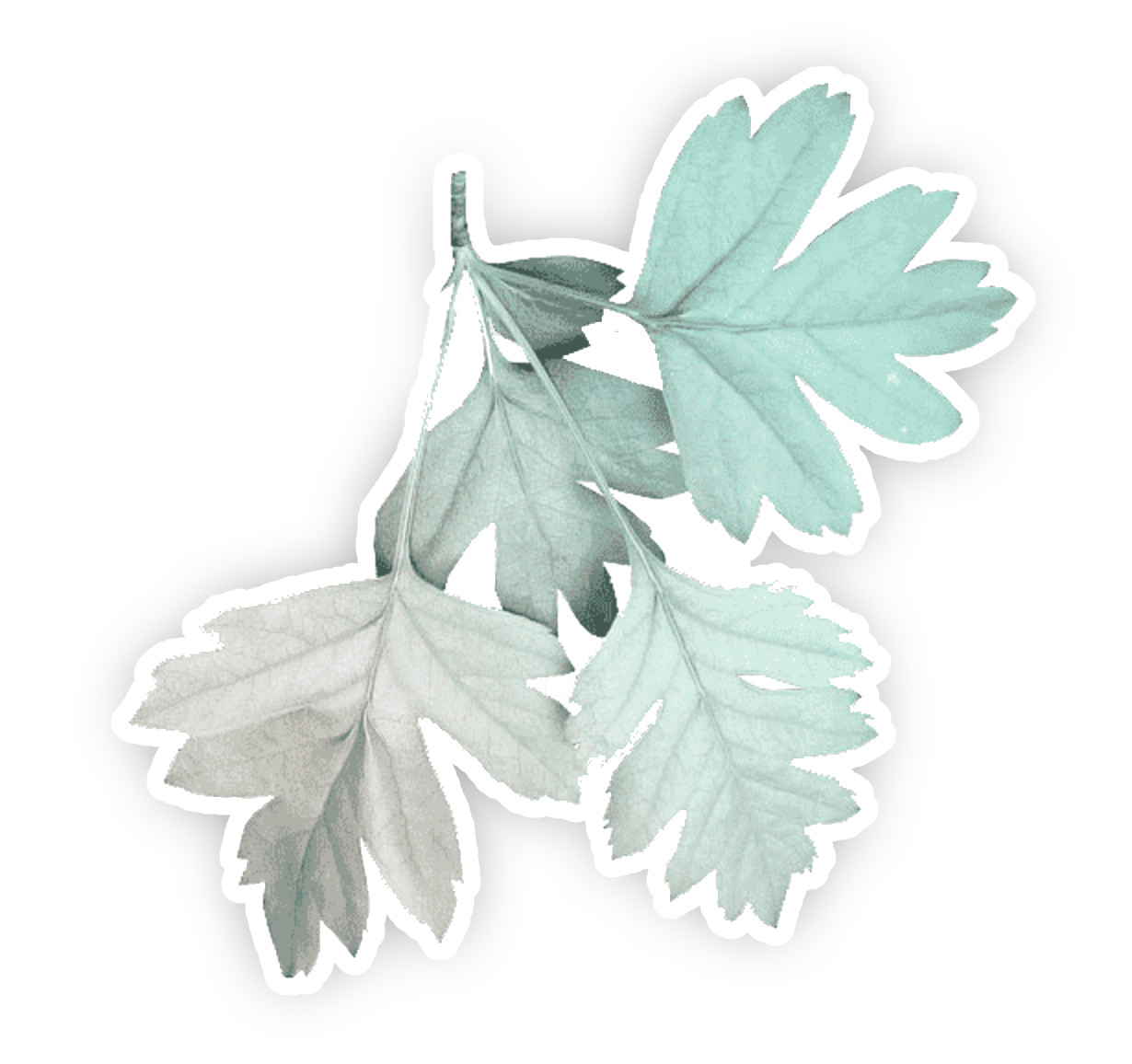 Aesthetic Green Leaf Leaves Palm Tree Green Vinyl Decal Laptop Car Sticker