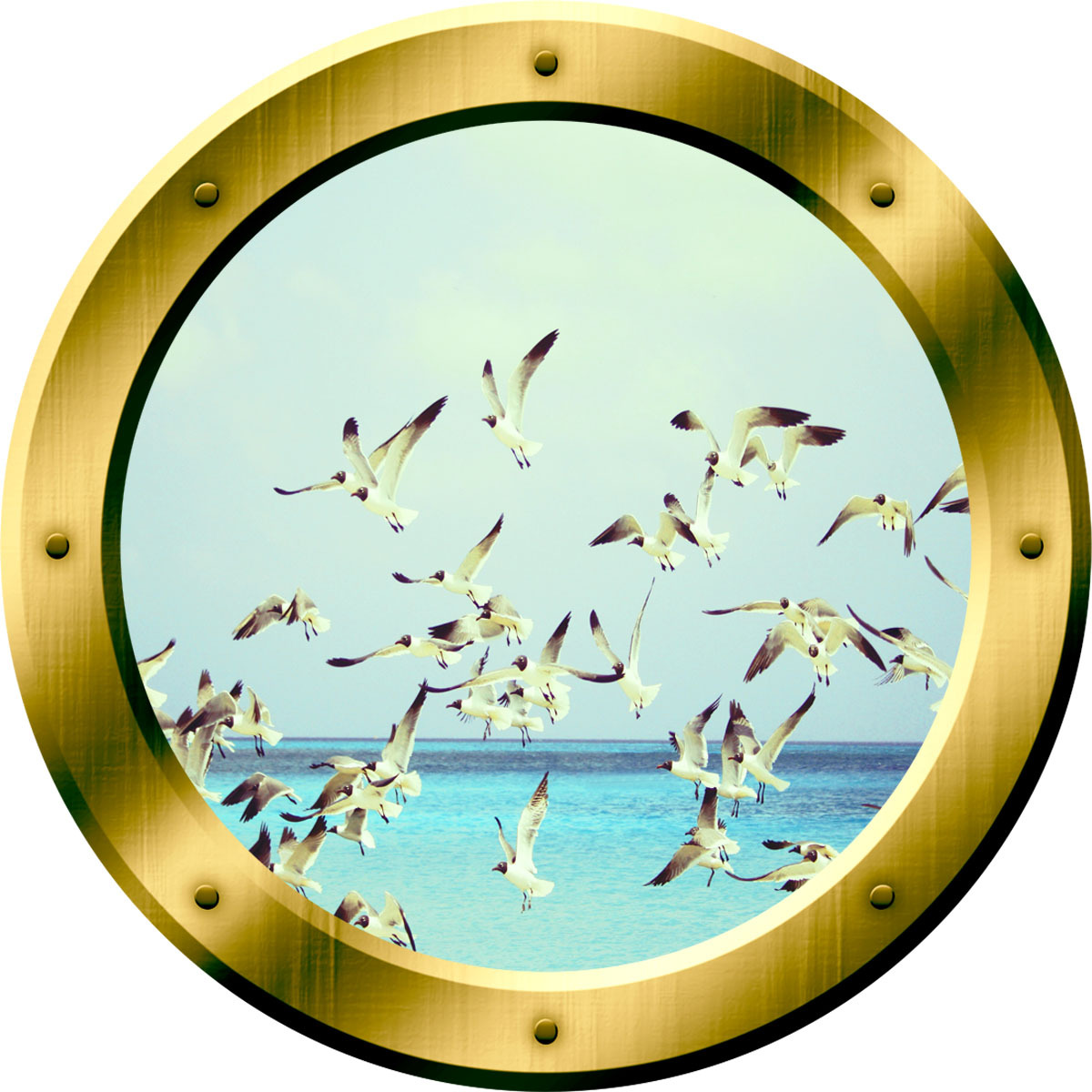Seagull Wall Decal Flock Of Seagulls Wall Sticker Porthole Wall Decals VWAQ-GP37