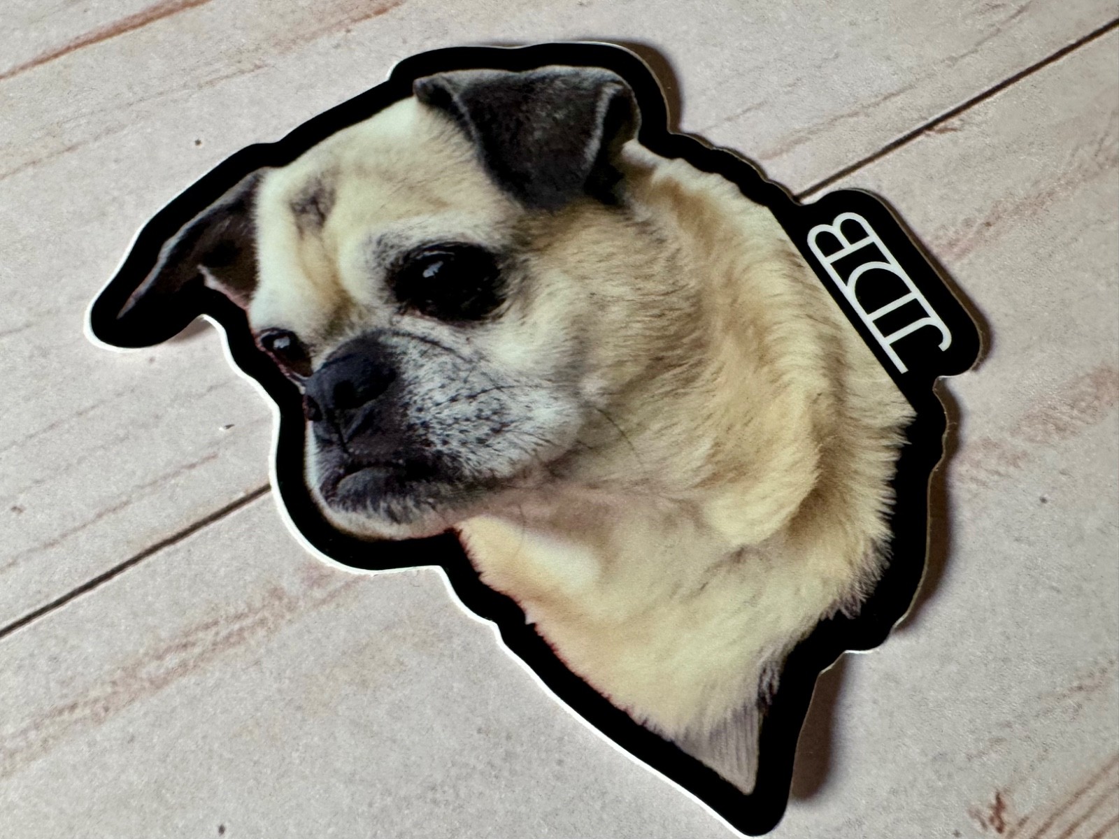 Chug 3” Vinyl Photo Sticker Artist JDB NO AI Pugs Chihuahua Dogs Cute Puppy Cats