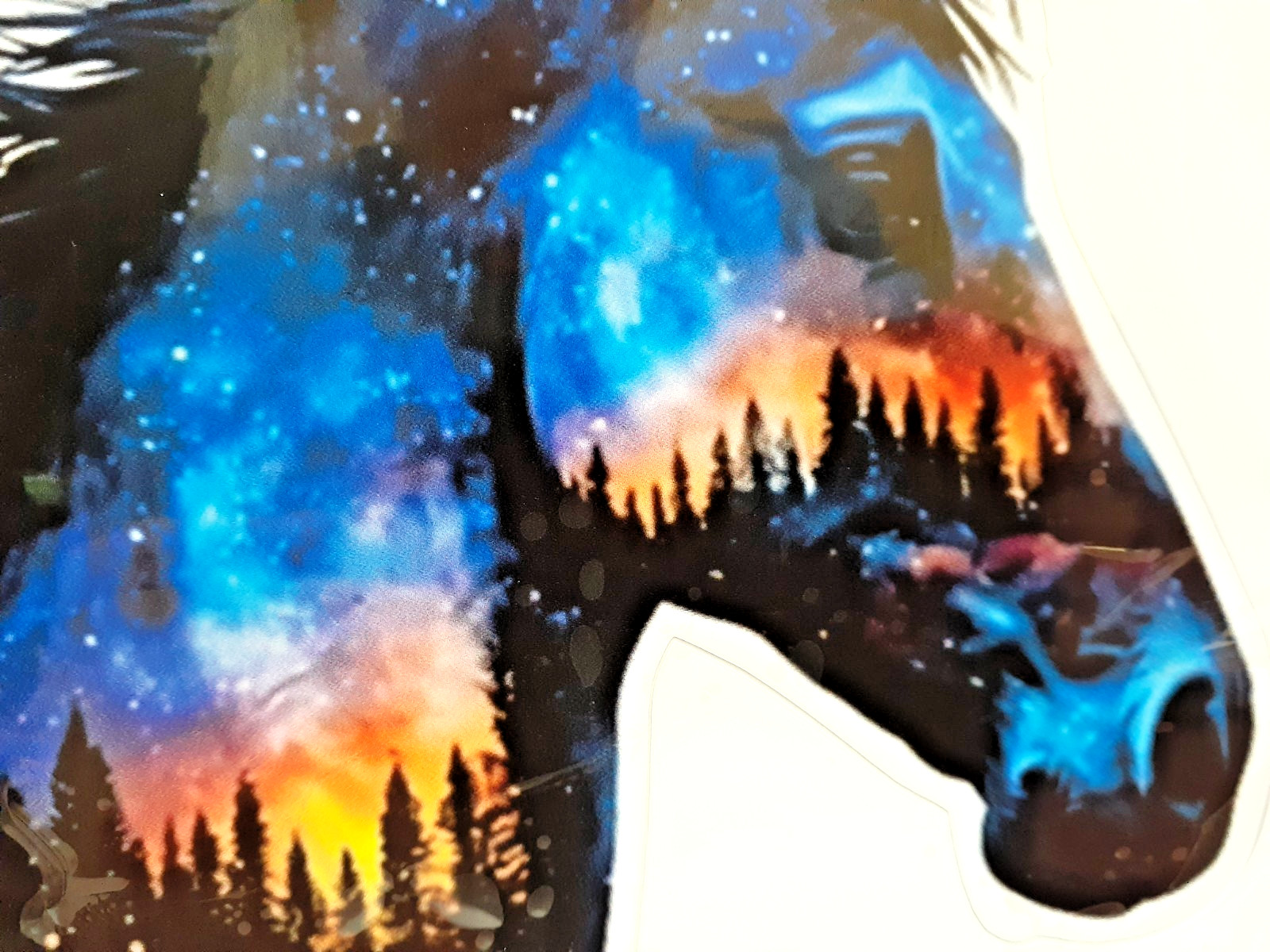 Cosmic Horse Vinyl Decal Sticker 7" x 6.25"