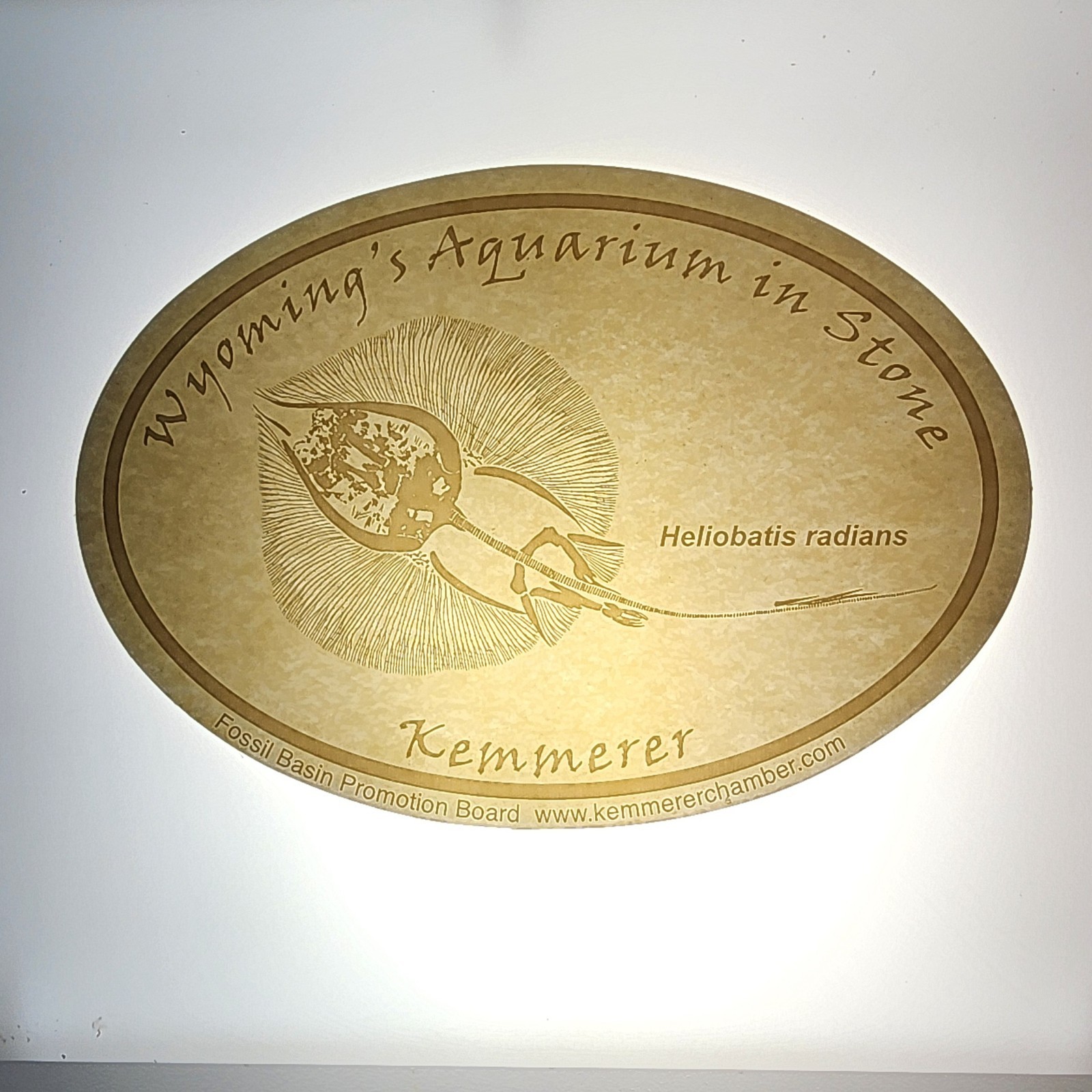 Fossil Butte National Monument WY An Aquarium in Stone Kemmerer Decals CLEAR/WHT