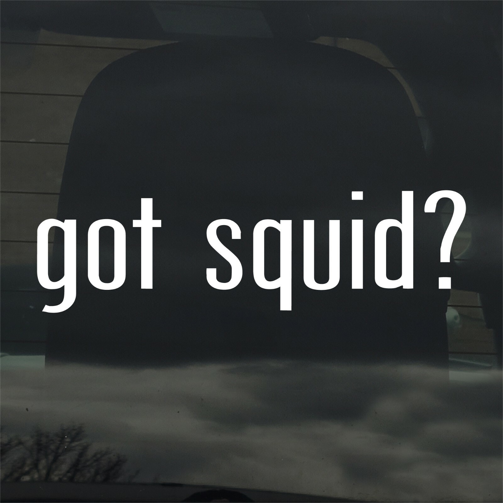 Got Squid? Custom Vinyl Sticker / Decal Calamari, Seafood, Cooking, Ocean