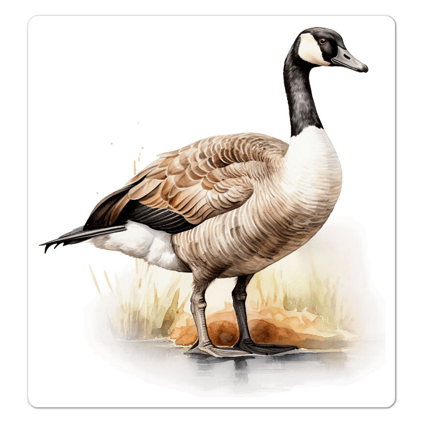 Canada Goose, Vinyl Decal Sticker, Indoor Outdoor, 3 Sizes, #9729