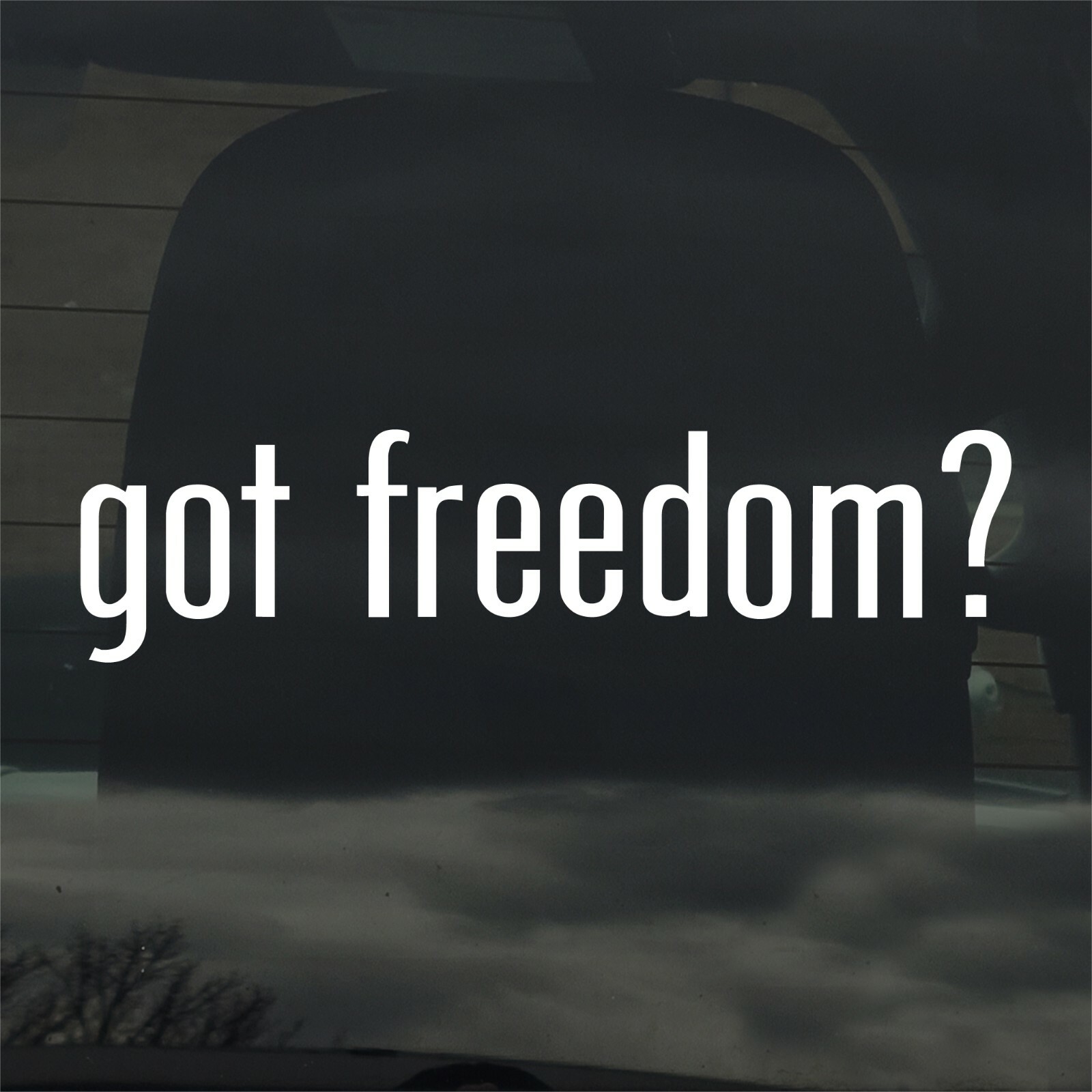Got Freedom? Custom Vinyl Sticker / Decal Liberty, Patriot, Military, Politics