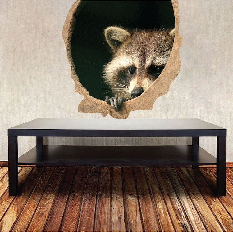 Raccoon Wall Decal 3d Wall Sticker Peel and Stick Removable Wallpaper Mural. a39