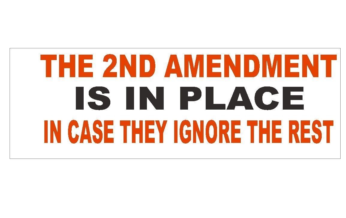 Anti Obama Gun Control 2nd Amendment Bumper Sticker or Helmet Sticker D266