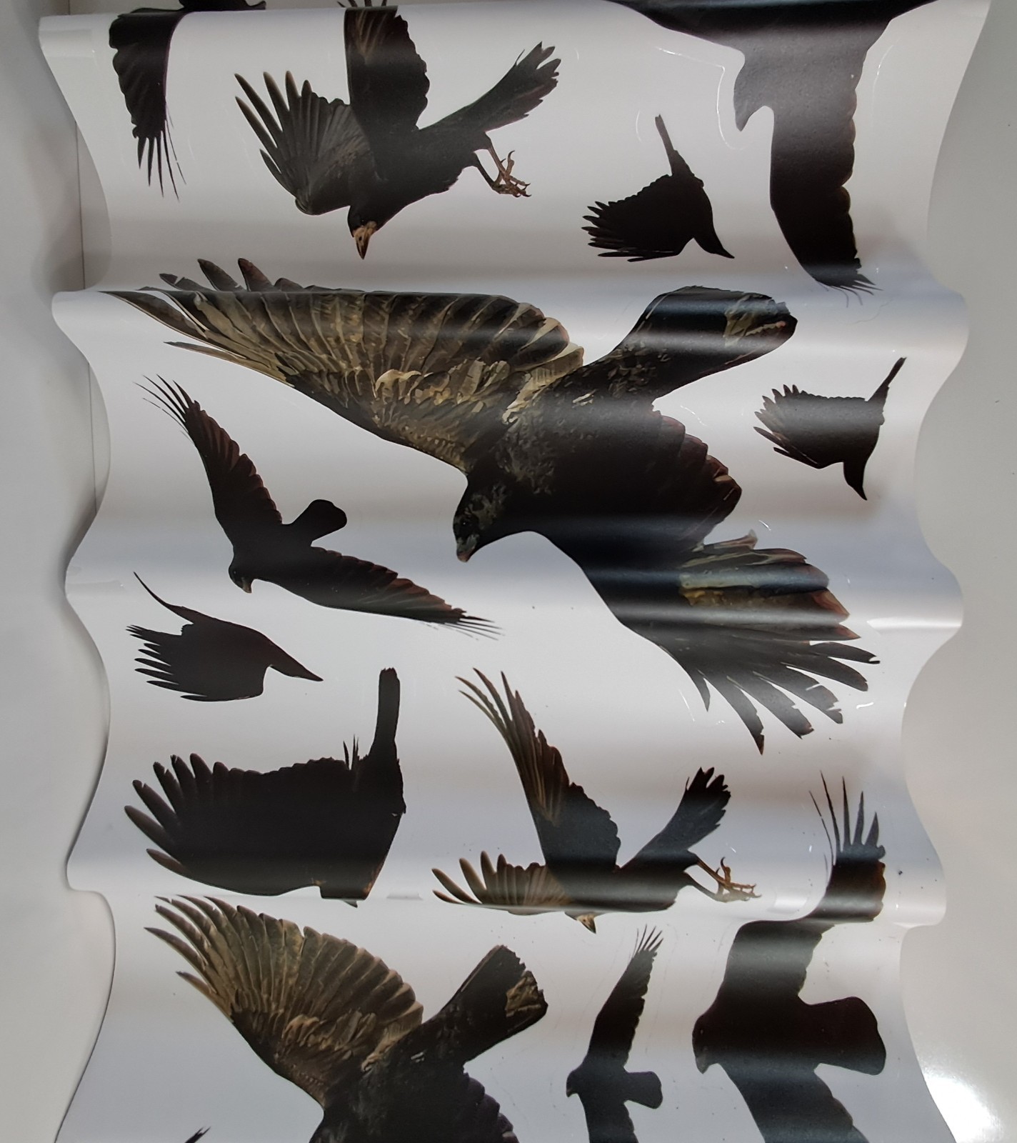 Happy Halloween Blackbirds Crows Wall Art Self-Adhesive Removable
