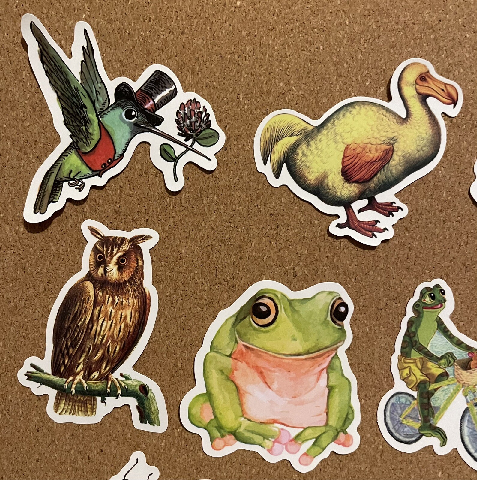 Animal Vinyl Stickers 21 Realistic & Silly Frog Toad Bird Water-Resistant Reward