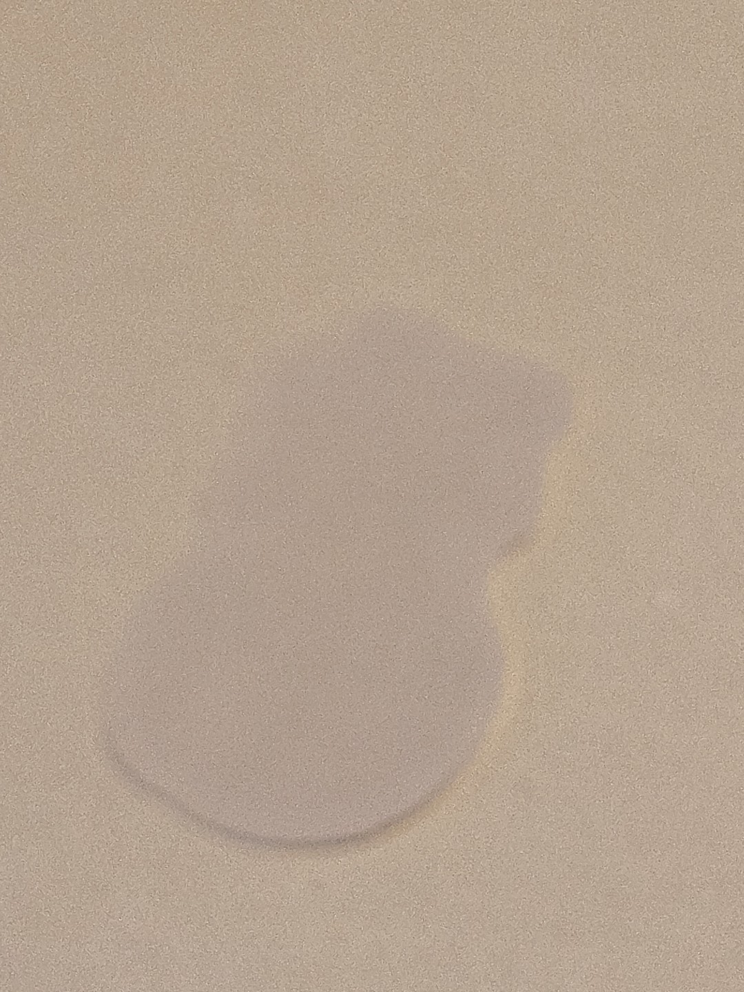 Captian Toad, Super Mario, Nintendo, Fun Glossy Vinyl Sticker, Decal 1.75"