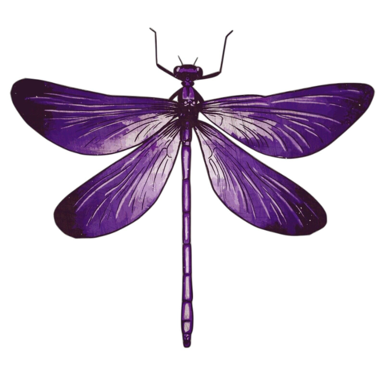 Majestic Dragonfly Sticker Decal